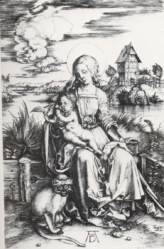 Albrecht Durer The Madonna with the Monkey Germany oil painting art